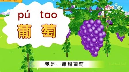 葡萄拼音几声 搜狗搜索