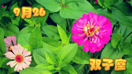 9月26号是什么星座啊 搜狗搜索