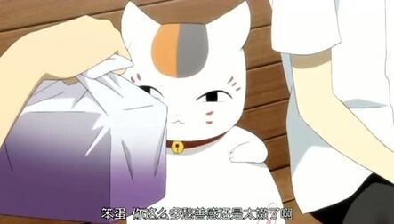 夏目友人帐陆 全集 动漫 免费在线观看