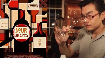 85分钟中英双字完整版纪录片酸葡萄artesourgrapes2016