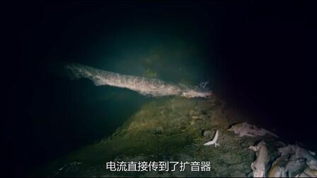 致命凶物 全集 电视剧 免费在线观看