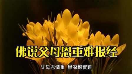 早晚课《佛说父母恩重难报经》~佛说父母恩重难报经