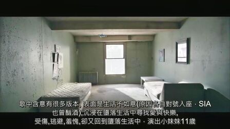 Chandelier的中文 搜狗搜索