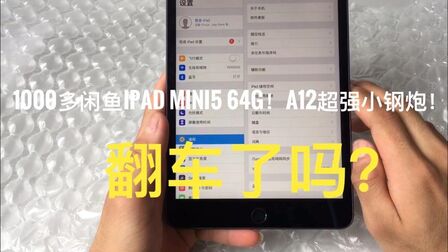 Ipad Mini5 64g够用吗 搜狗搜索