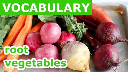 英语蔬菜单词大全100个 搜狗搜索