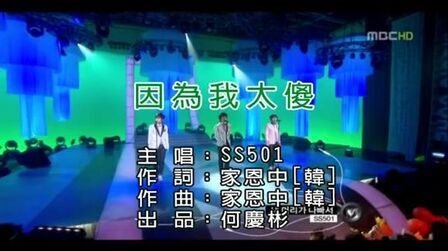 因为我太傻ss501 搜狗搜索