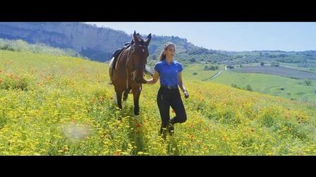 安达卢西亚的彩虹 全集 电视剧 免费在线观看