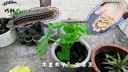家里如何找马陆窝 搜狗搜索