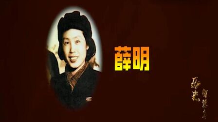 最高殊勋夫人 高清电影 完整版在线观看