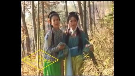 《晚娘1》-高清电影-完整版在线观看