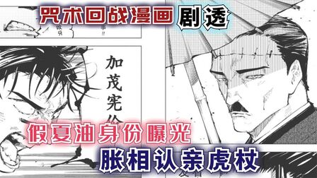 咒术回战夏油真实身份 搜狗搜索