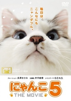 猫咪物语5剧照