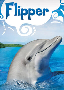 海豚弗利珀