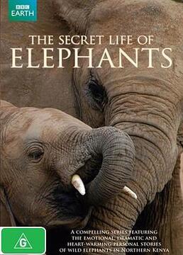 大象的秘密生活剧照