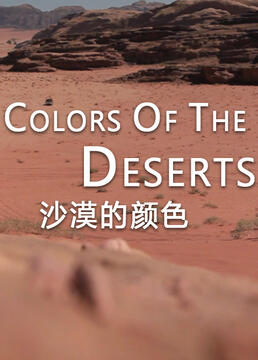 沙漠的颜色剧照