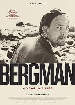 伯格曼人生中的那一年