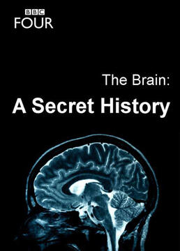 bbc纪录片大脑神秘的历史剧照
