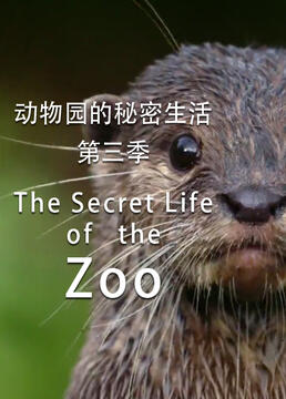动物园的秘密生活第三季