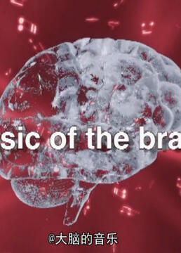 大脑的音乐剧照