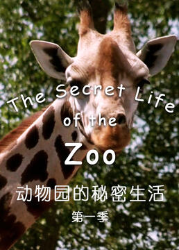 动物园的秘密生活第一季剧照