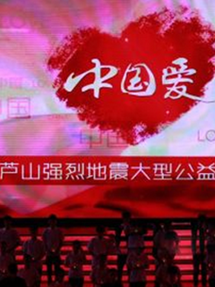 中国爱420芦山地震公益晚会剧照