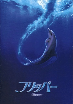 海豚的故事剧照