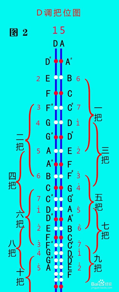 那这里可以先看下面图2的d调二胡把位定音图,内弦的最低音是1哆,也就