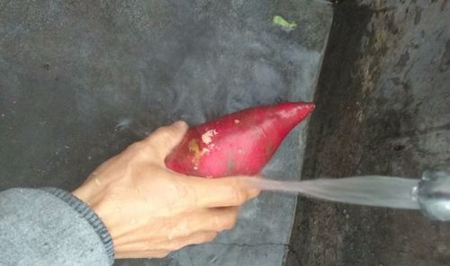 微波炉烤红薯的方法与步骤 微波炉烤红薯的方法
