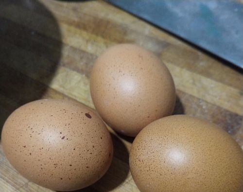 面粉和鸡蛋的做法大全小孩吃的 面粉和鸡蛋的做法大全