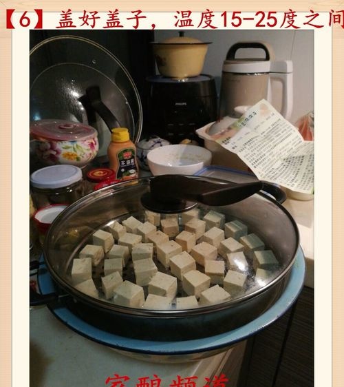 毛豆腐制作方法视频 毛豆腐制作方法