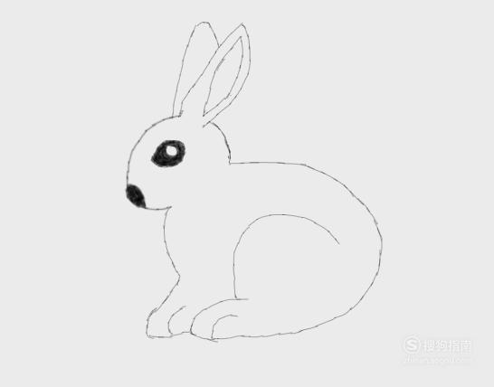如何画小白兔简笔画步骤 怎么画小白兔简笔画步骤图