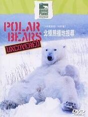 北极熊极地搜寻