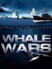 护鲸大战第二季