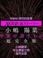 AKB48背后的故事特别篇 小嶋阳菜毕业遗留之物