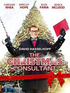 thechristmasconsultant