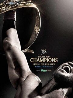 WWE:冠军之夜 2013