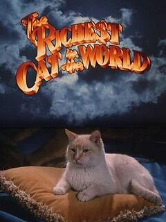 therichestcatintheworld