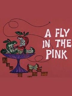 A Fly In The Pink