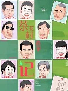 茶花村选举记