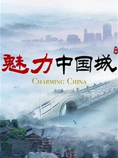魅力中国城第二季