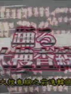 跳跃大搜查线2001年冬季SP 大汉城线